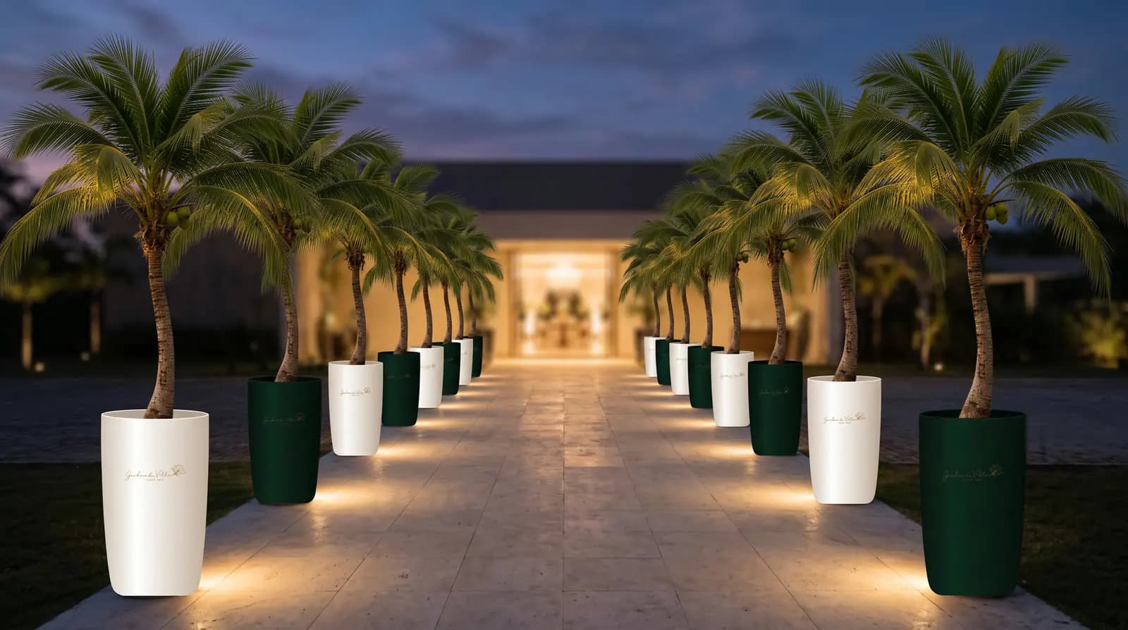 Coqueiros nos vasos premium do Garden, brancos e verdes, na entrada de um evento