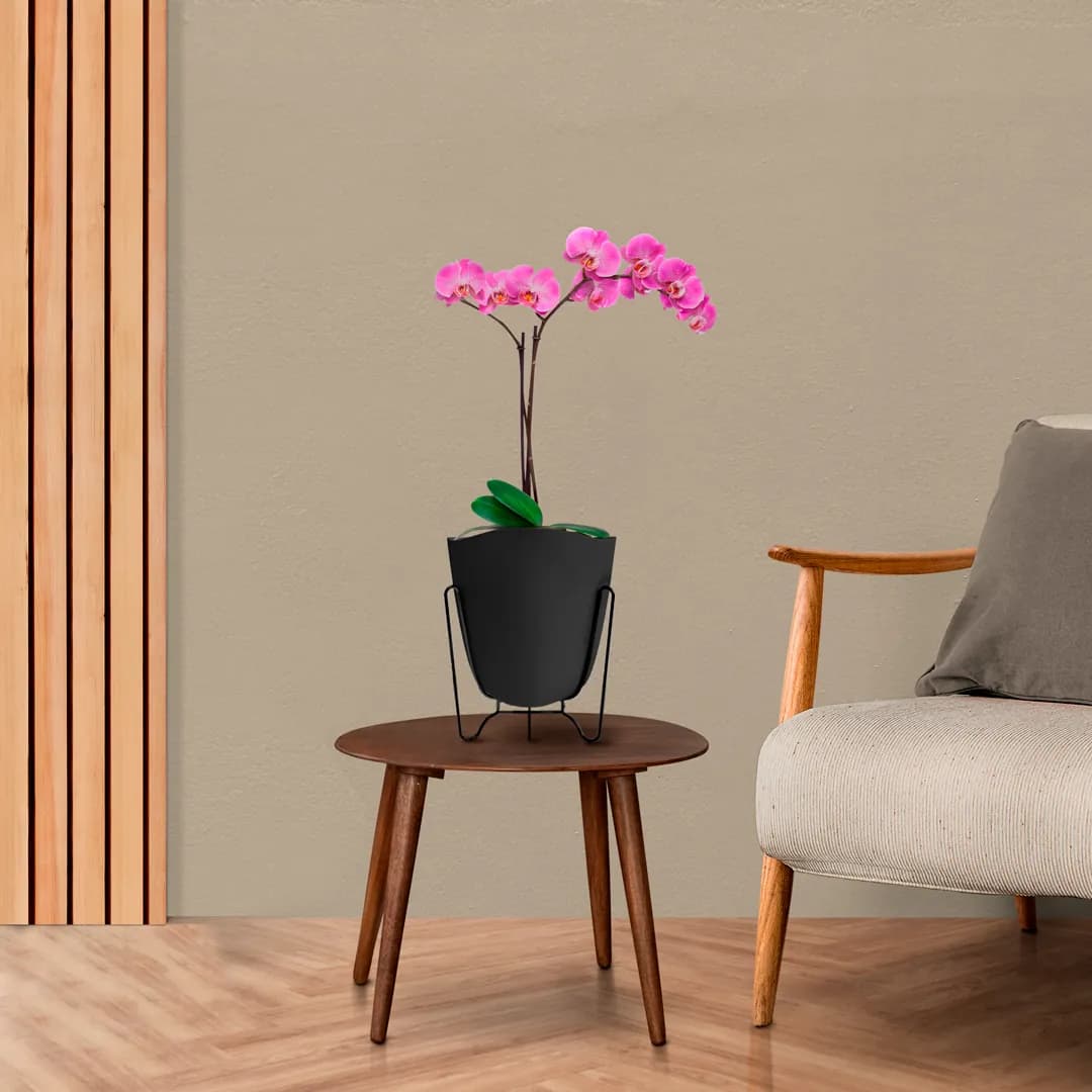 Orquídea rosa num cachepô preto, sobre uma mesinha